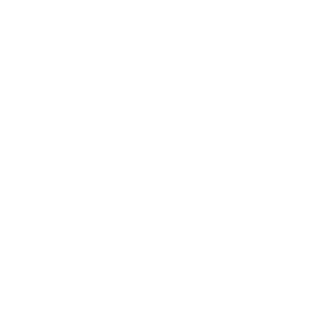 Sikh Lens